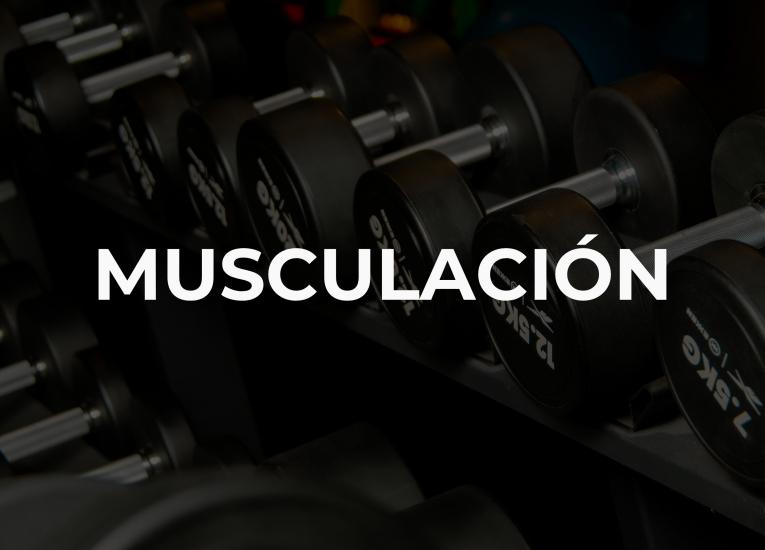mini_musculacion