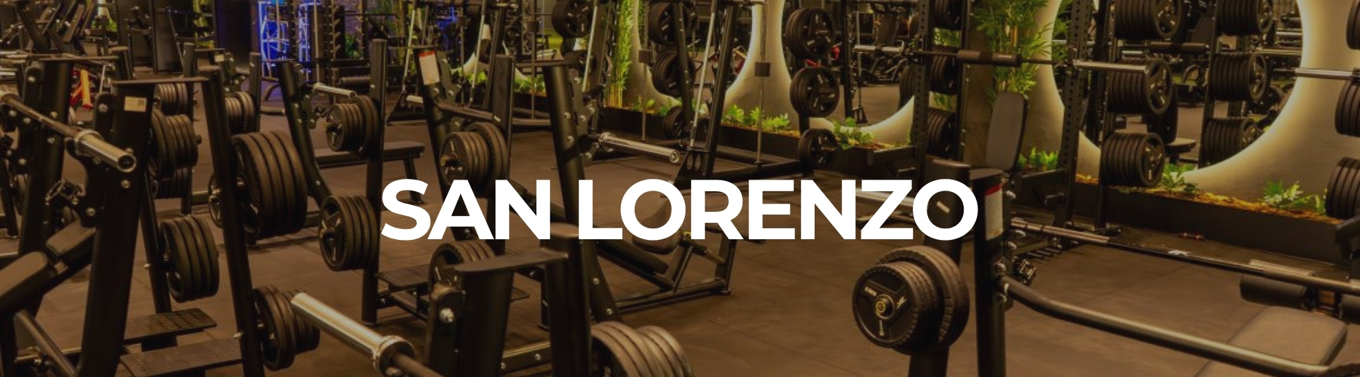 san-lorenzo-f