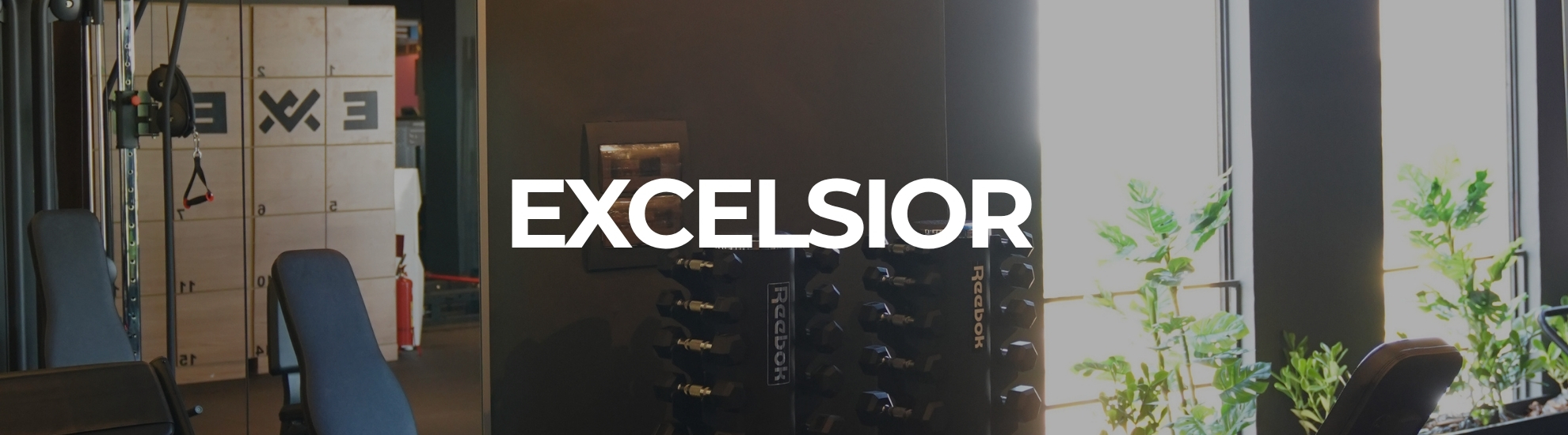 eXCELSIOR py